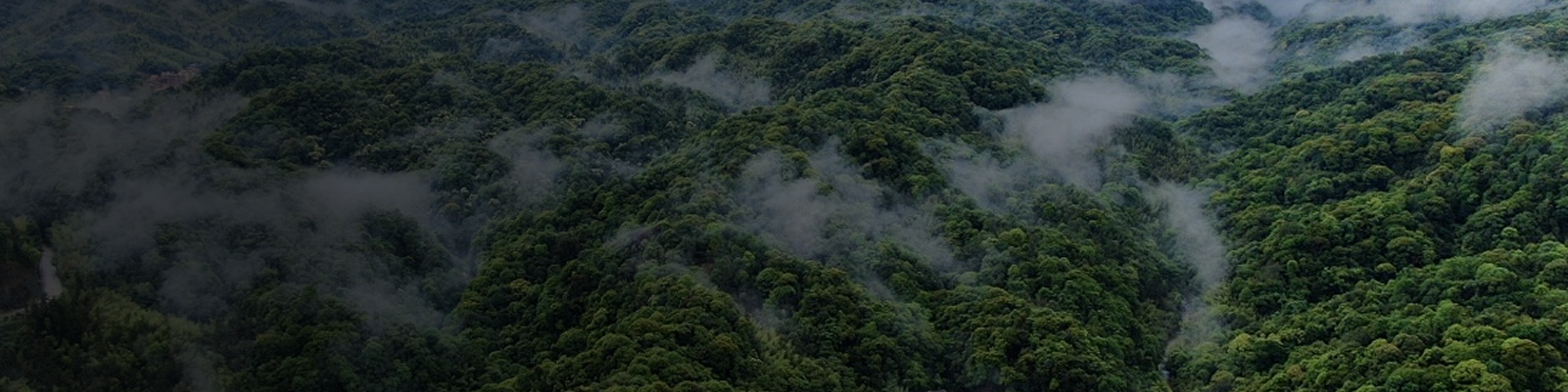 智慧林场解决⽅案